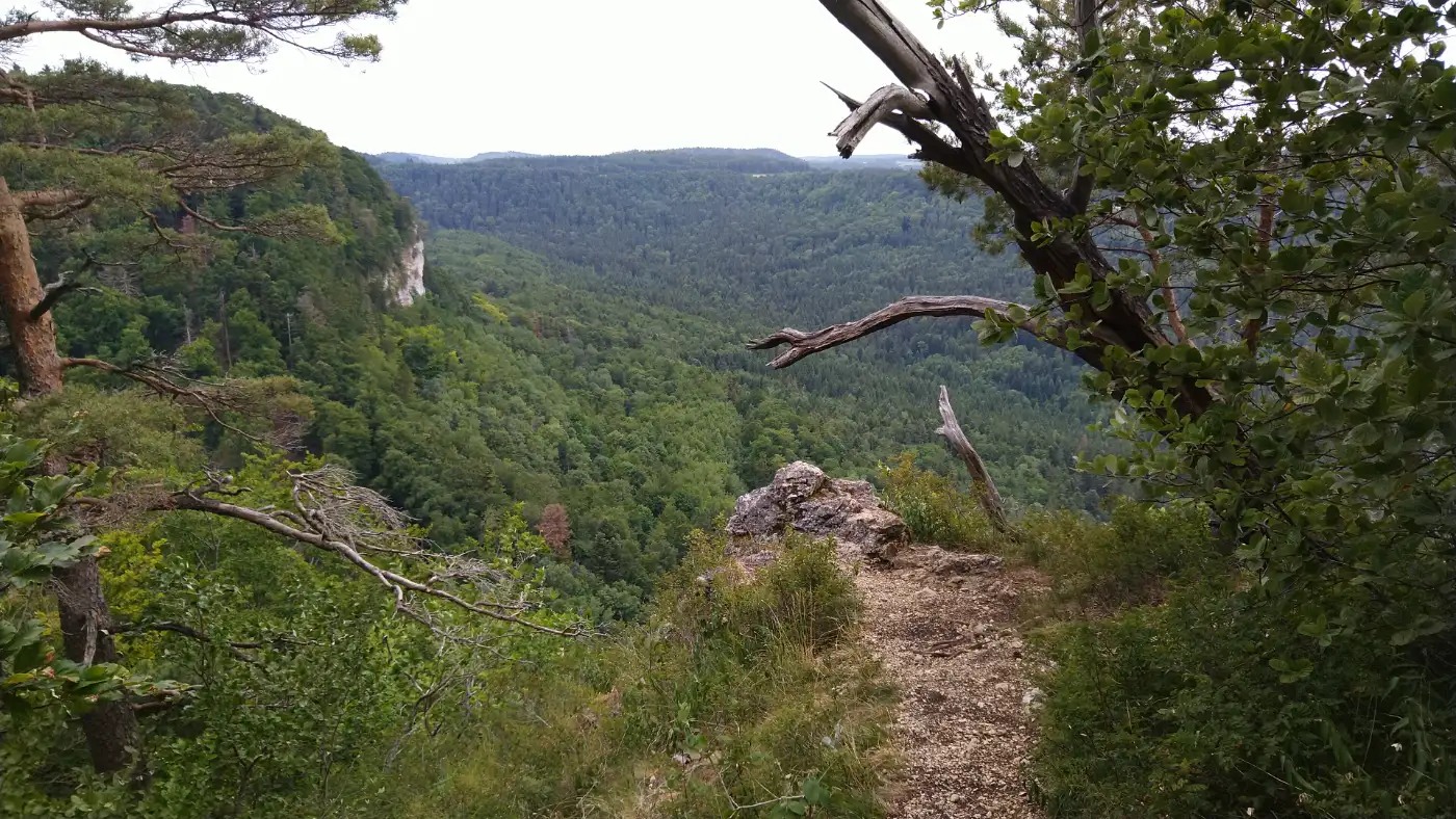 Bildtitel: auf dem Gräbelesberg