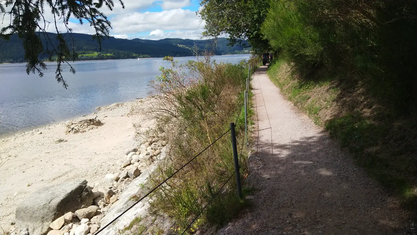 Bildtitel: Schattiger Weg entlang des Schluchsees