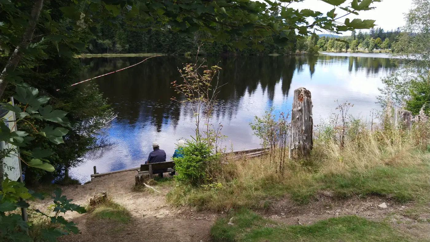 Bildtitel: Windgfällweiher - Stausee zwischen Altglashütten und Falkau