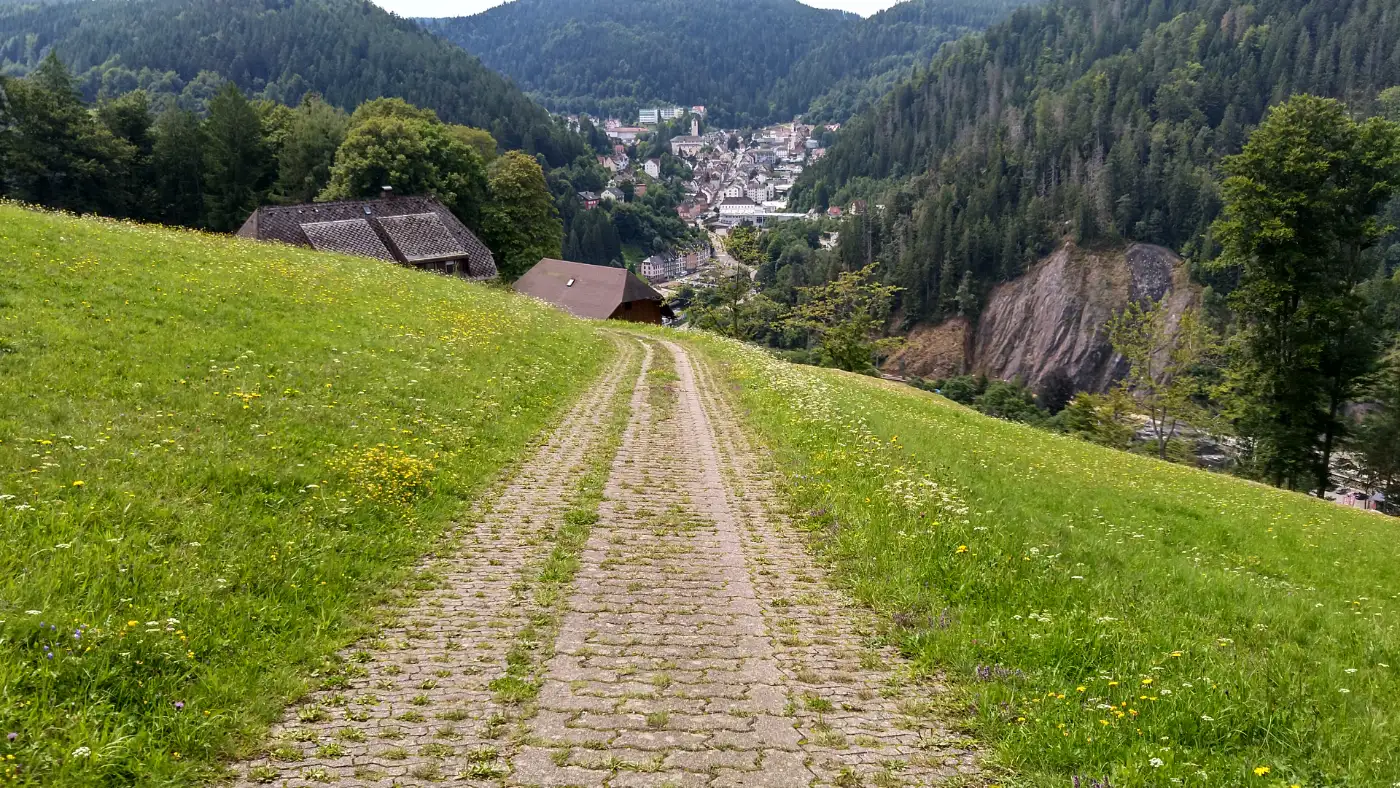Bildtitel: Aussicht auf Triberg
