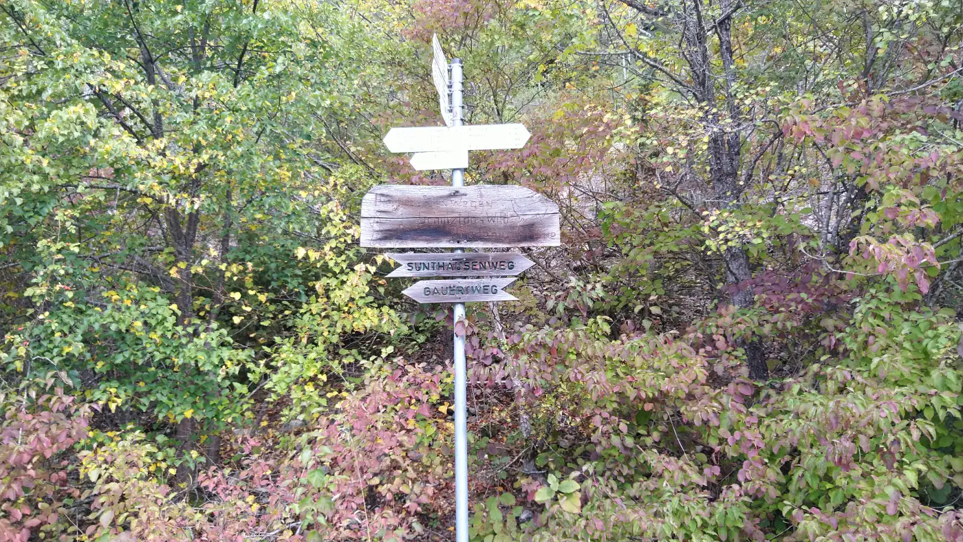 Bildtitel: Wegemarkierung - Route zur Burgruine Neuhewen im Hegau