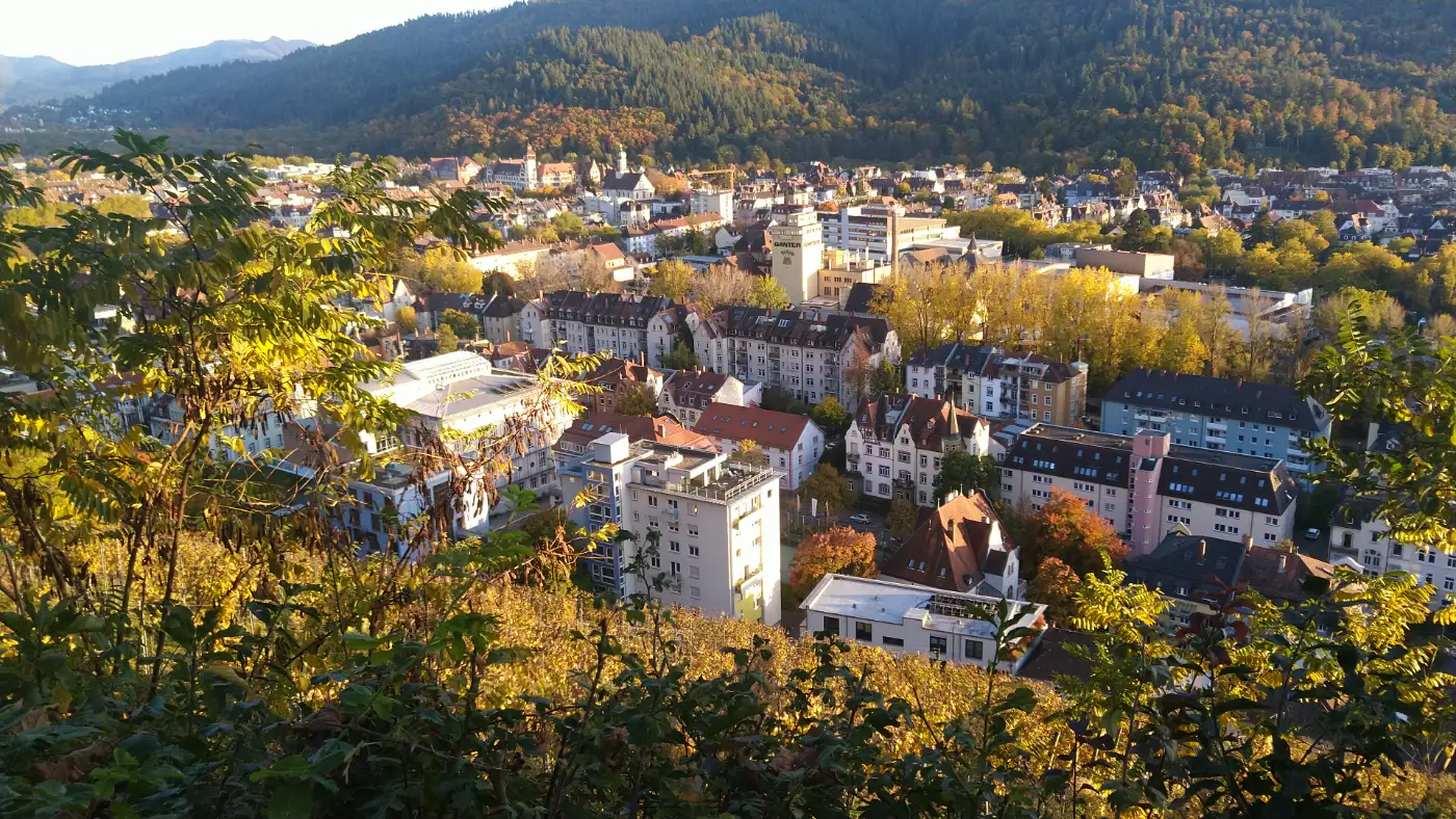 Bildtitel: Aussicht auf Freiburg Wiehre aufgenommen vom Schlossberg