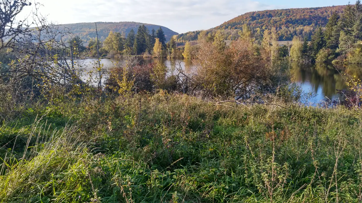 Bildtitel: Zollhausried, Moor und Seenlandschaft neben dem Blumberger Flugpatz
