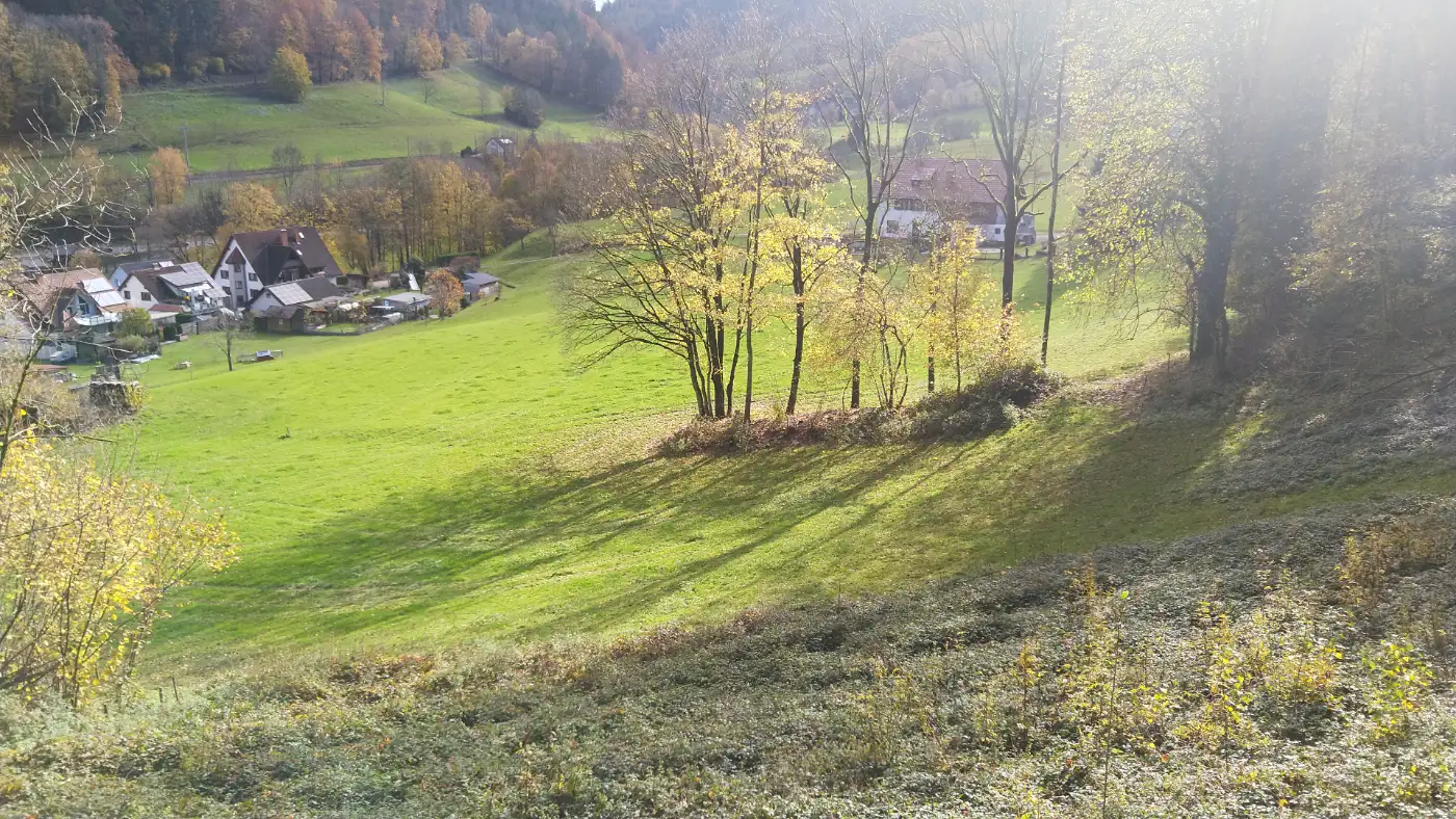 Bildtitel: Ausblick auf Falkensteig