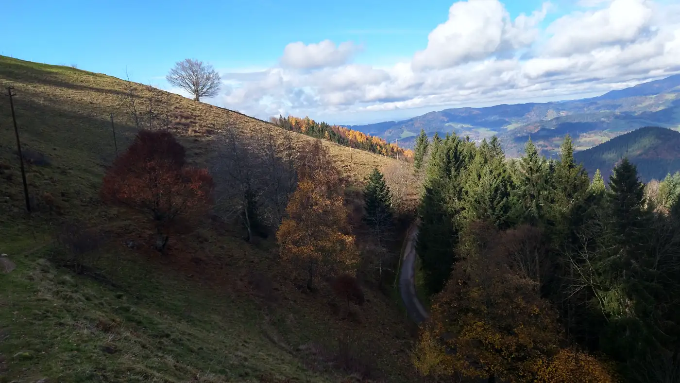 Bildtitel: Blick ins Dreisamtal und auf den Häusleberg