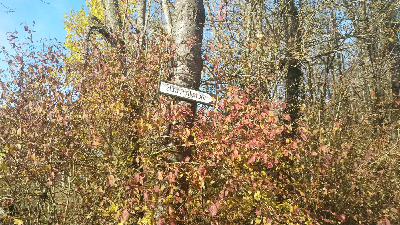Bildtitel: Wegweiser mit Aufschrift âAlter Dietfurtwegâ