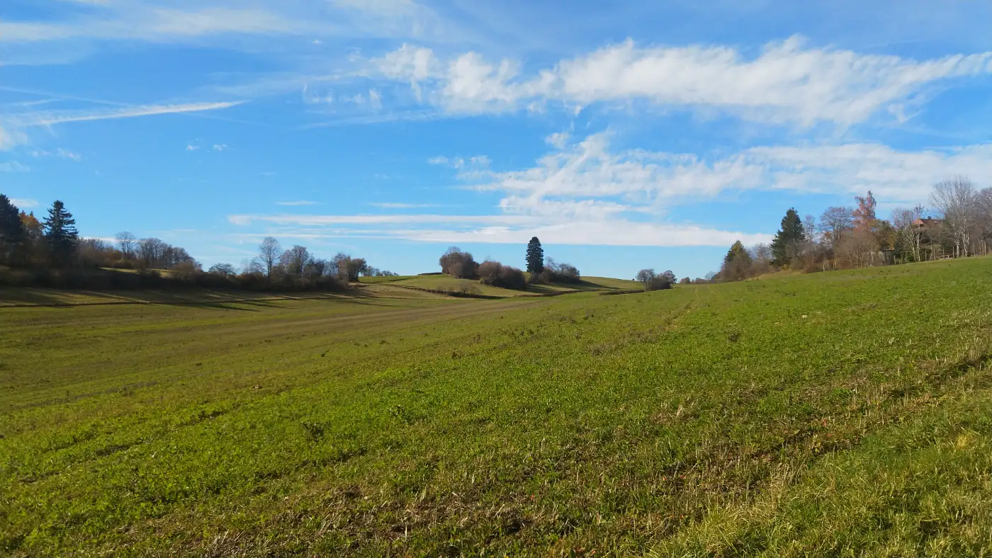 Bildtitel: Weg zur Wutschschlucht