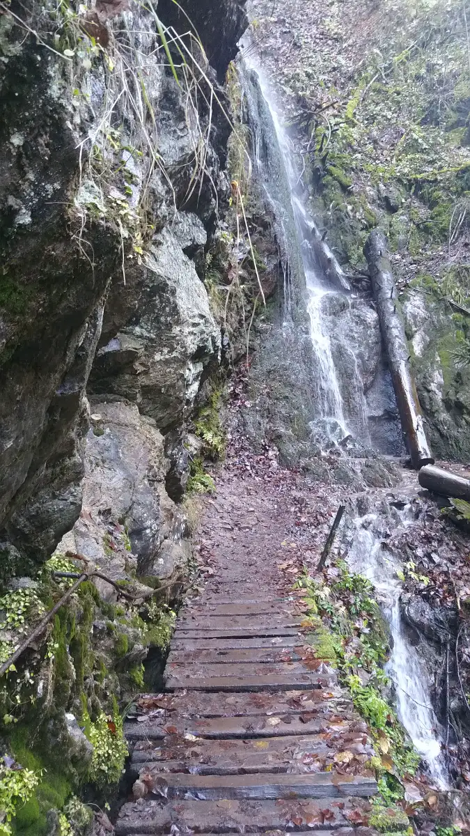 Bildtitel: Wasserfall Lothenbachklamm