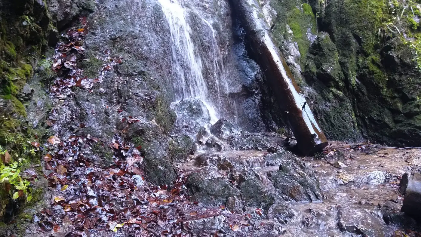 Bildtitel: Wasserfall kreuzt Weg