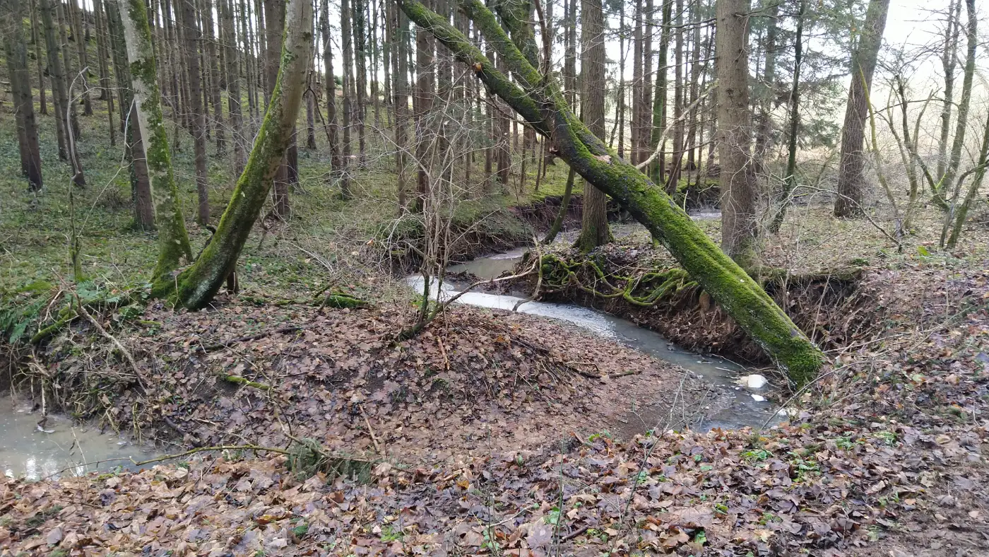 Bildtitel: am Trosselbach