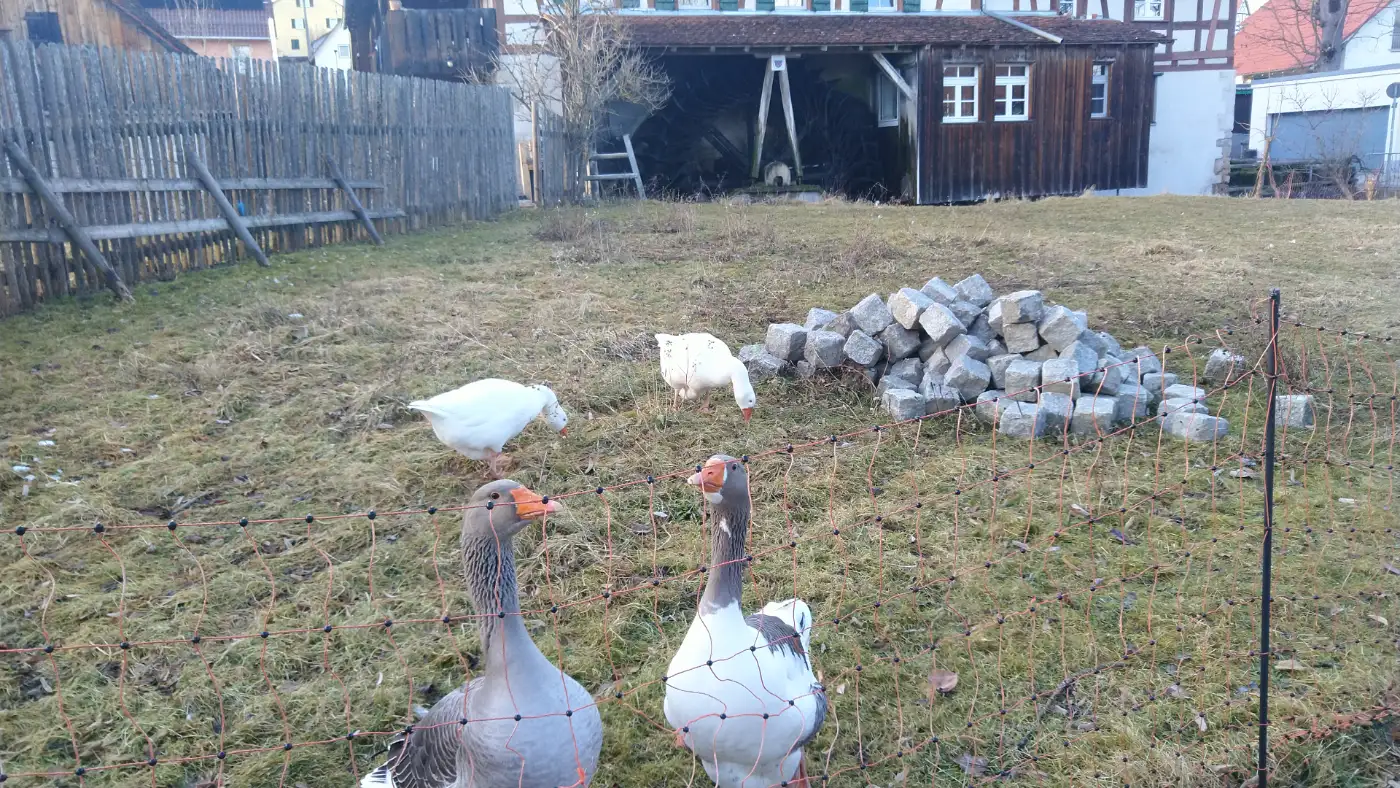 Bildtitel: Mittere Mühle - Deißlinger