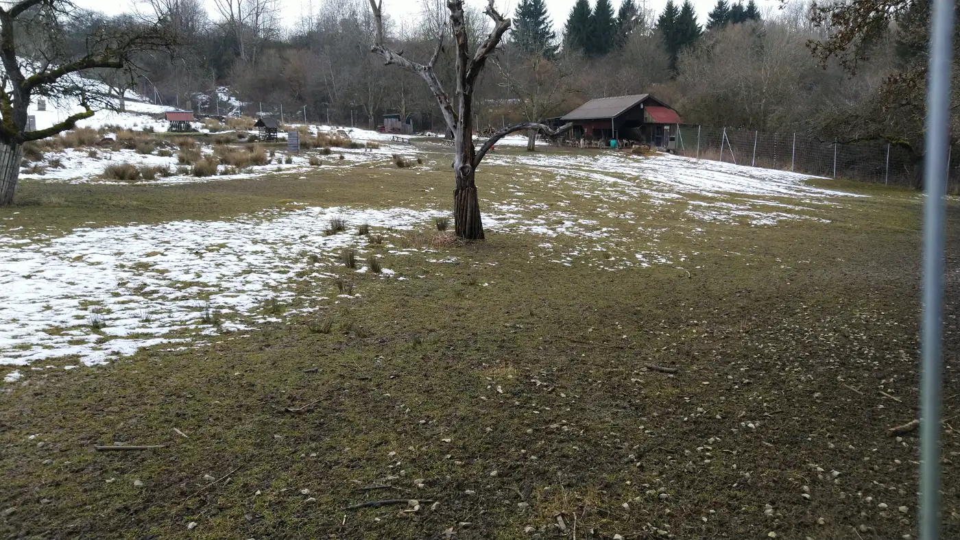 Bildtitel: Wildgehege am Gaugersee