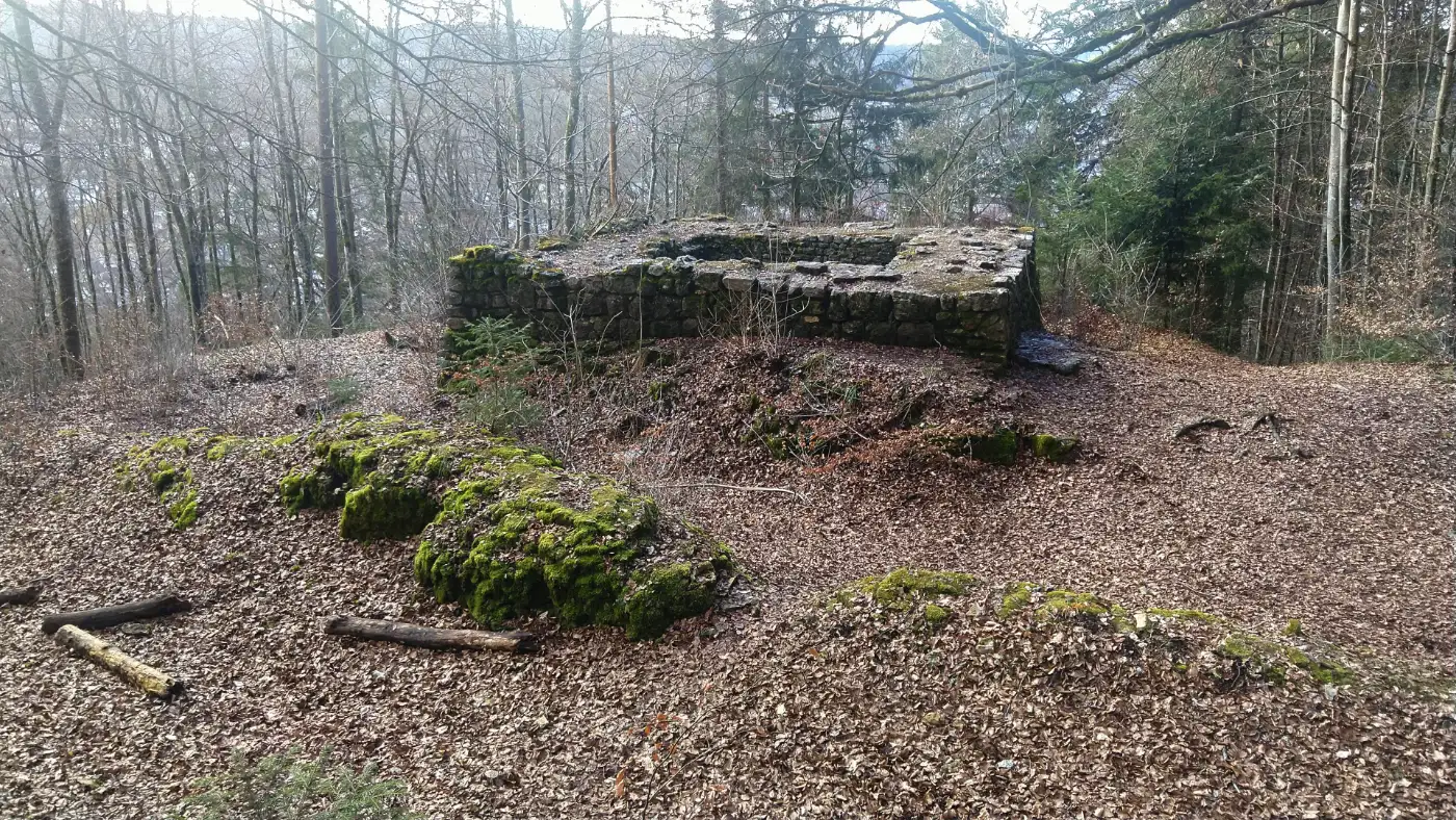 Bildtitel: Ruine Luginsfeld