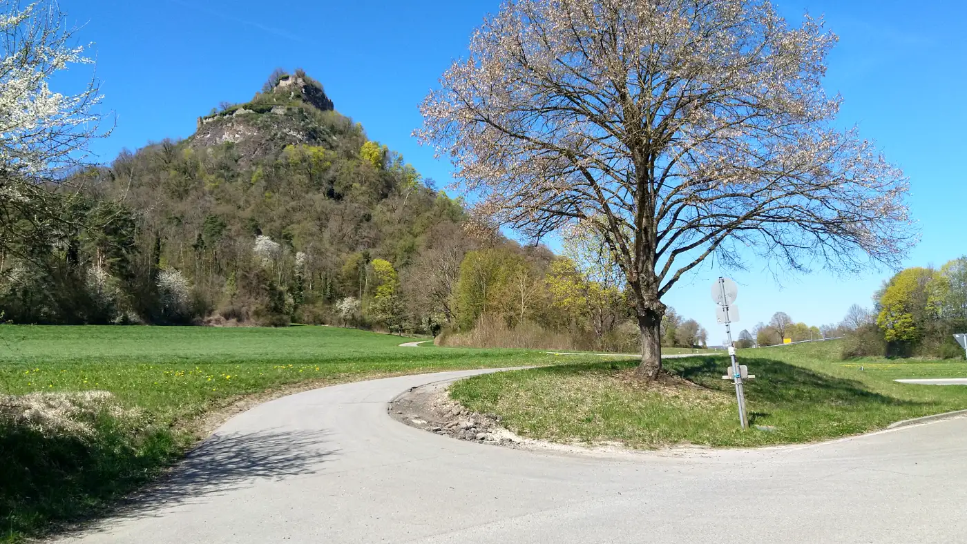 Bildtitel: Hohenkrähen