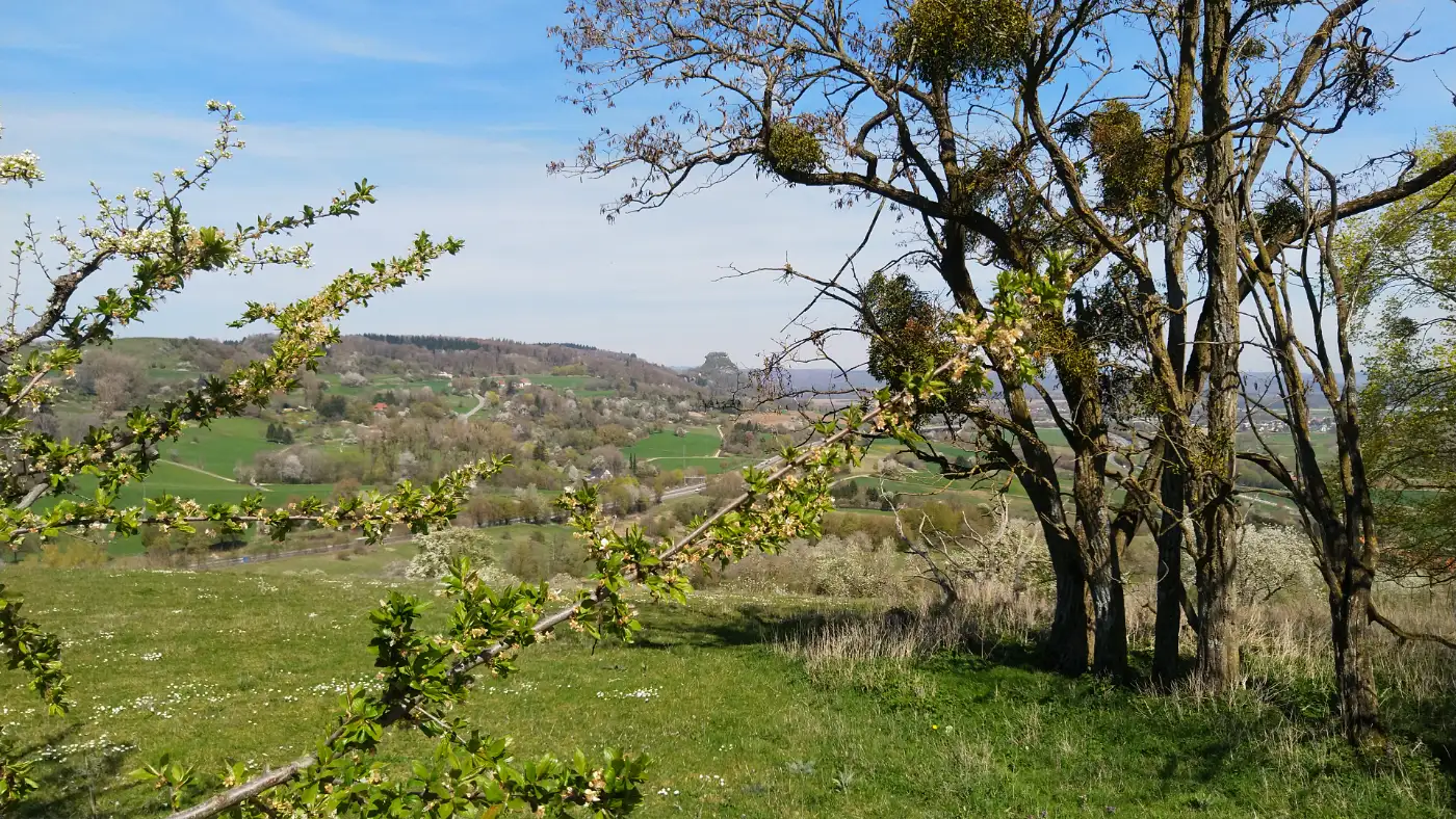 Bildtitel: Blick auf den Hohenkrähen