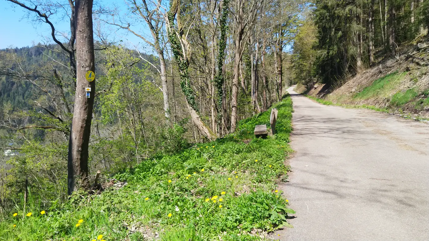 Bildtitel: Welzbergweg