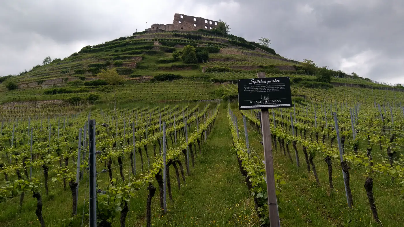 Bildtitel: Burgruine Staufen auf dem Schlossberg