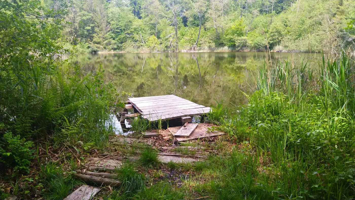 Bildtitel: am Litzelsee