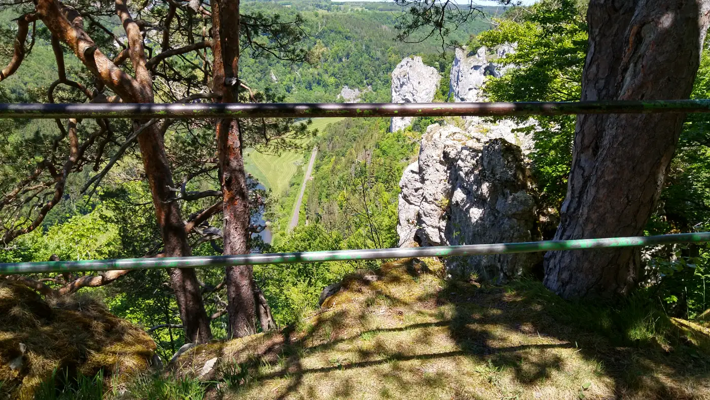 Bildtitel: A. P. Jägersausblick