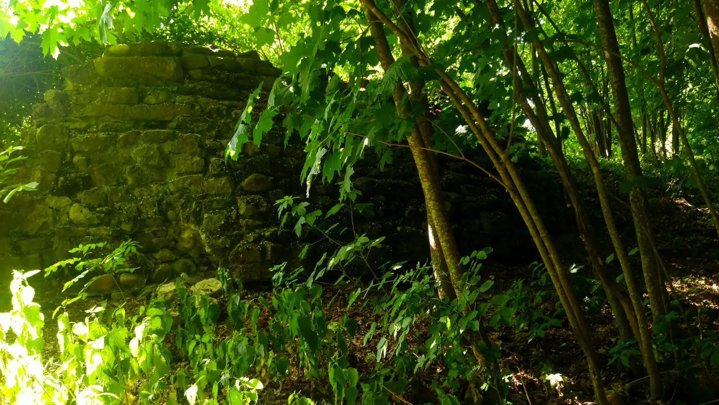 Bildtitel: Mauer der Ruine Nellenburg