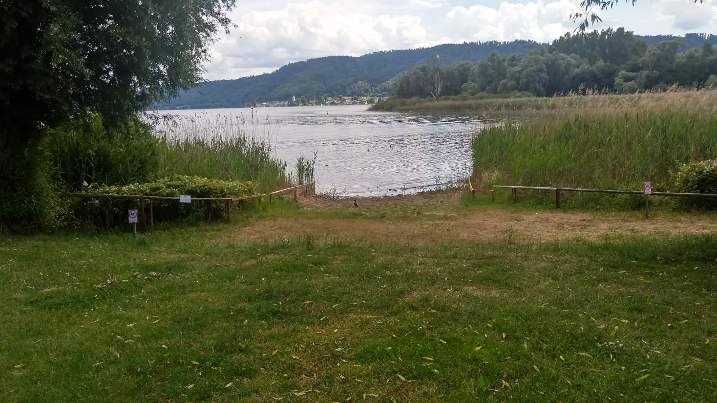 Bildtitel: Bodenseeufer mit Bodman im Hintergrund
