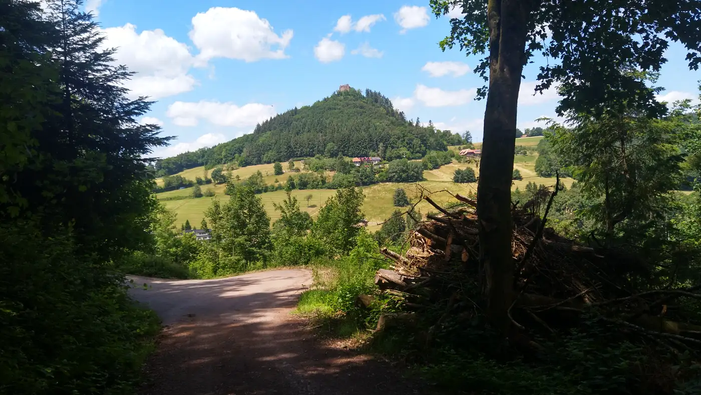 Bildtitel: Burgruine Hohengeroldseck