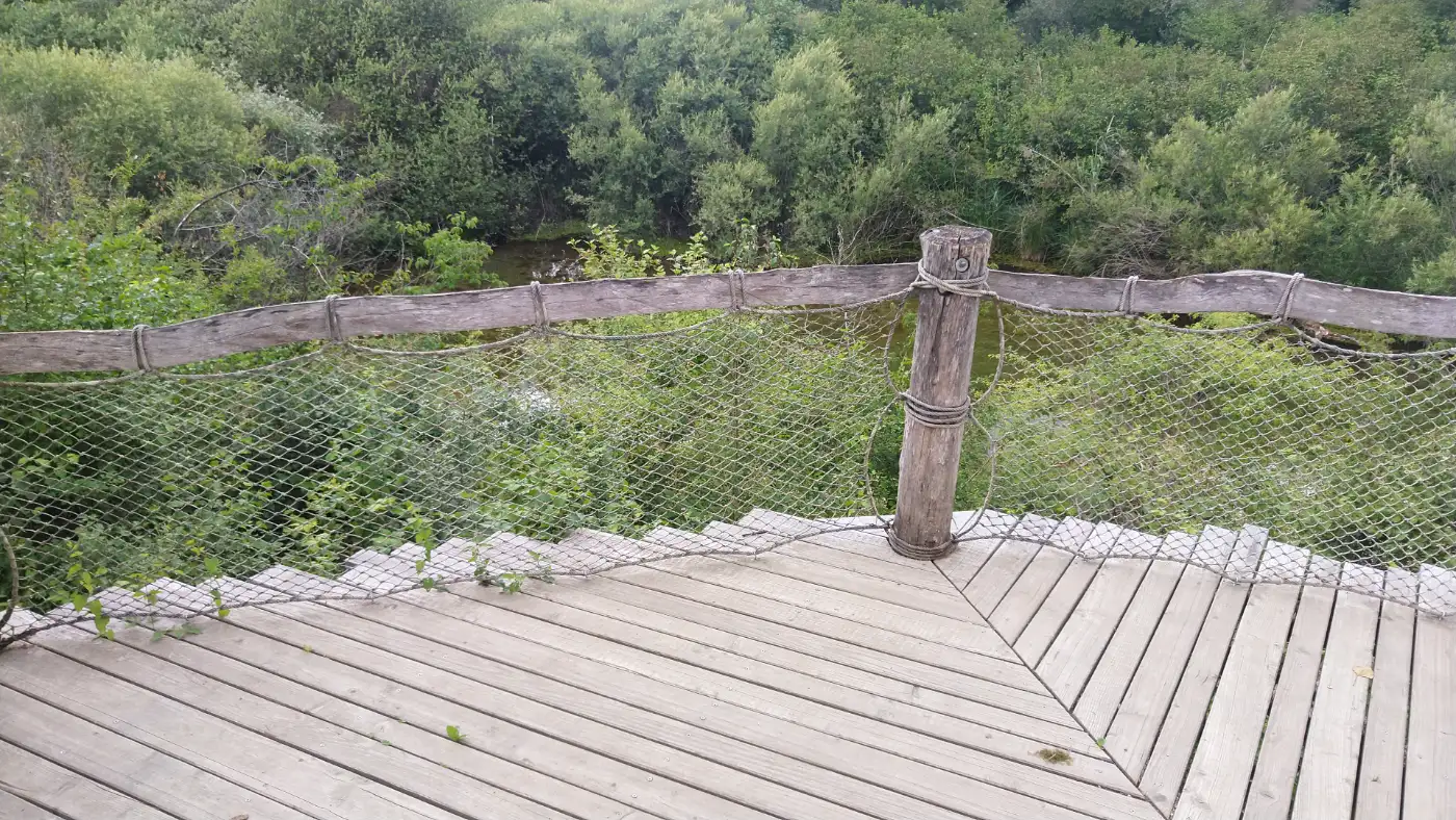 Bildtitel: Aussichtsplattform (Auen-Wildnispfad)