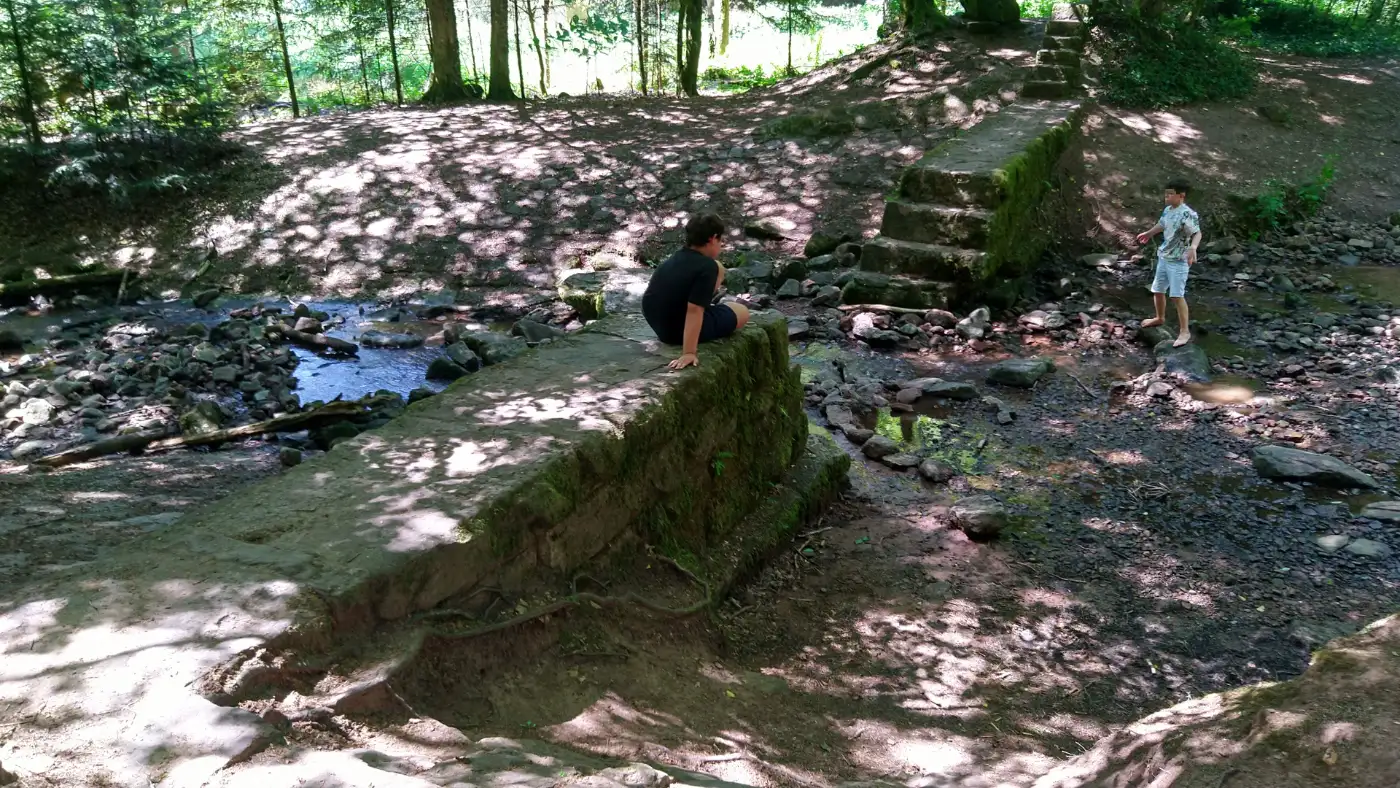 Bildtitel: Alte Furt im Monbachtal