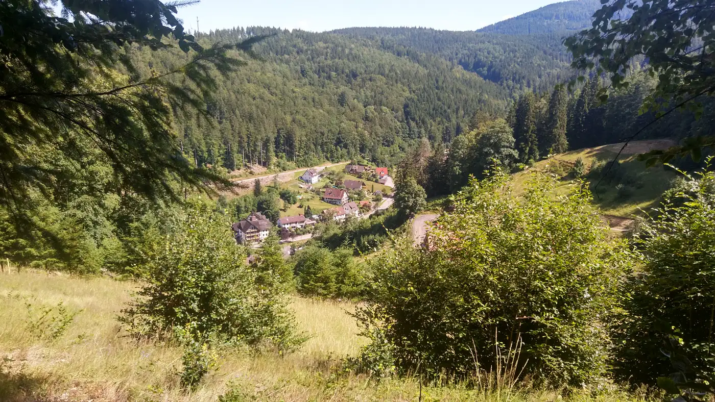 Bildtitel: Blick auf Schönmünzach