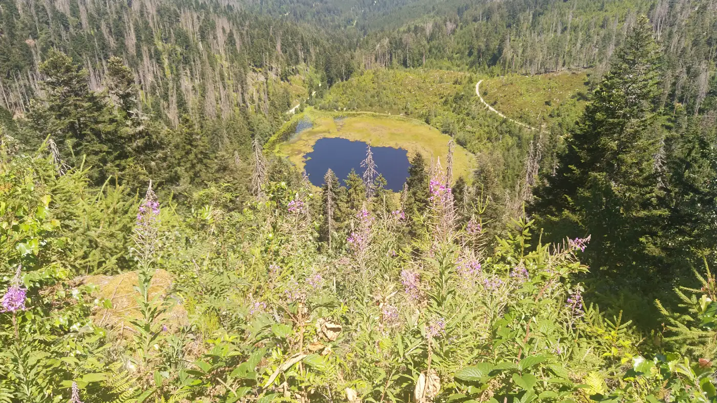 Bildtitel: Aufnahme vom See vom Aussichtspunkt Huzenbacher Seeblick