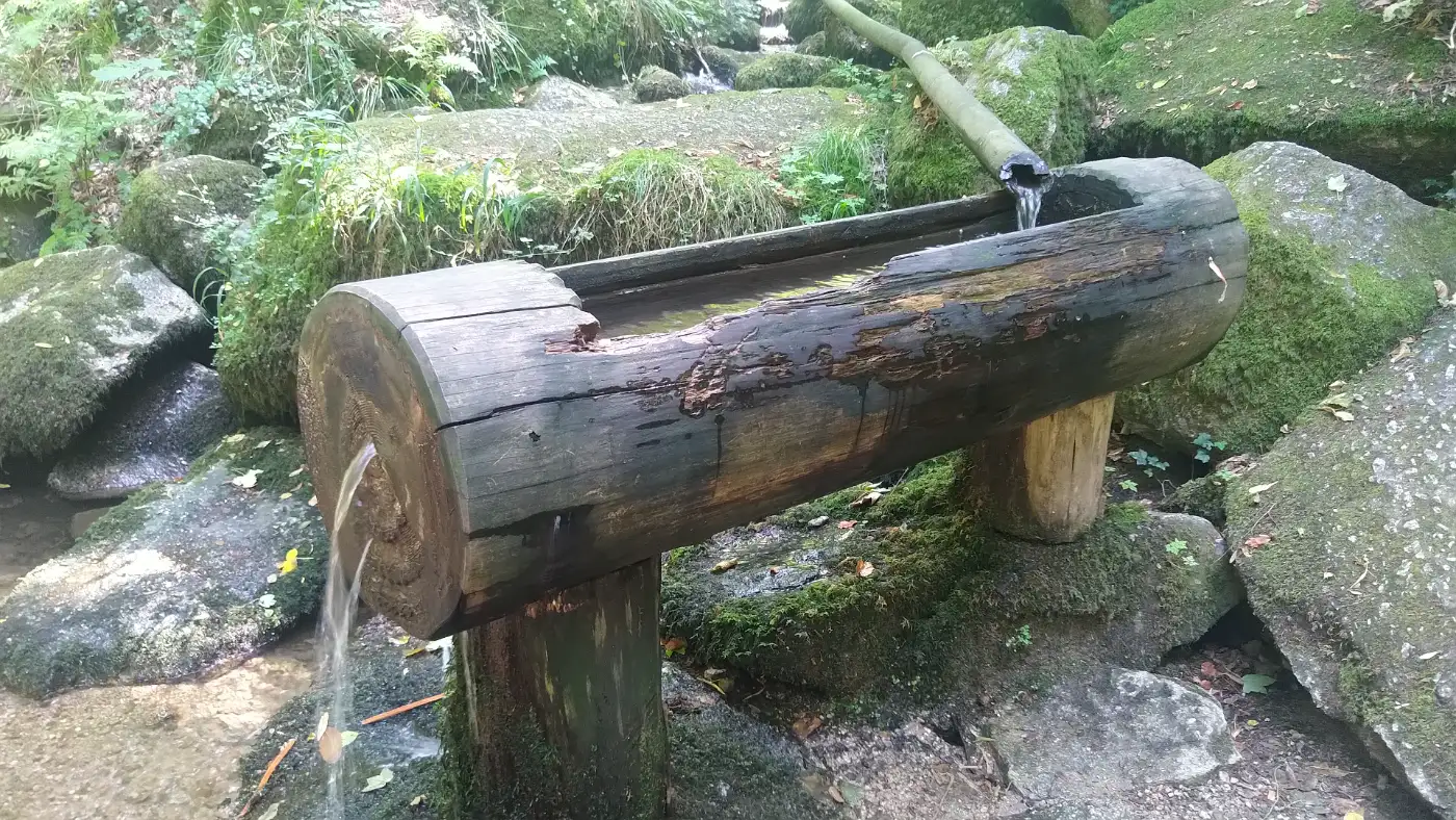 Bildtitel: Holztrogbrunnen in der Gaishölleschlucht
