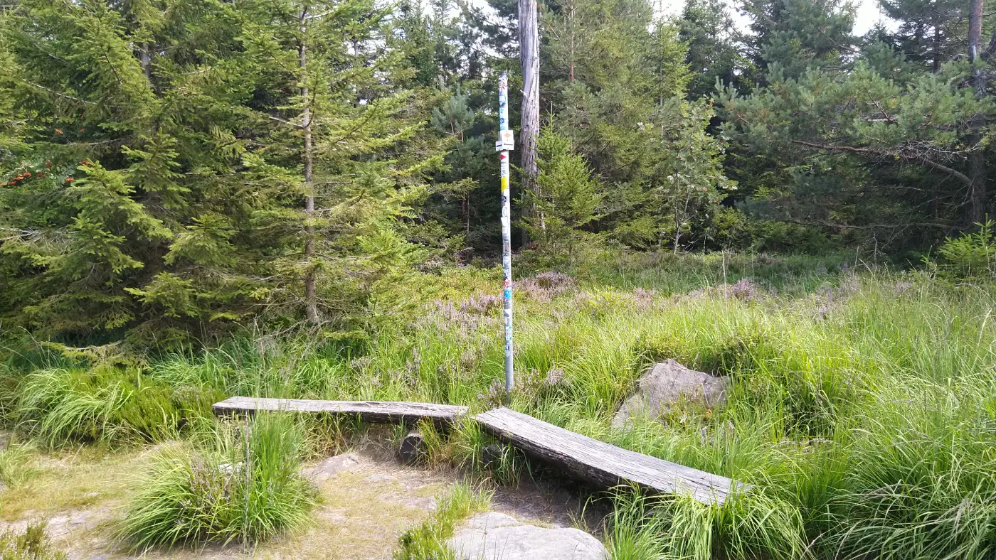 Bildtitel: Ruhebänke am „Bussemer Gedenkstein“ auf dem Seekopf