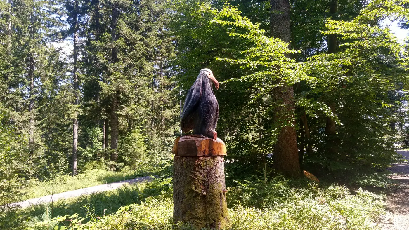 Bildtitel: Greifvogel-Holzskulptur auf dem Räuberwegle