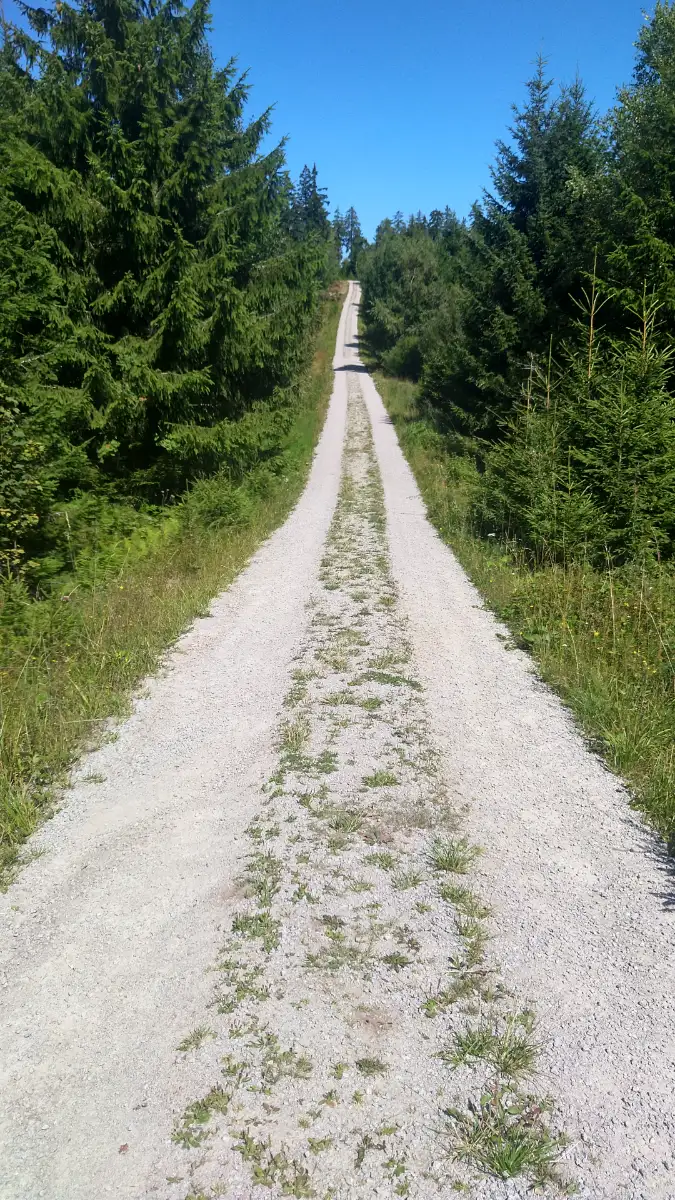 Bildtitel: Panoramarundweg Schwarze Lache