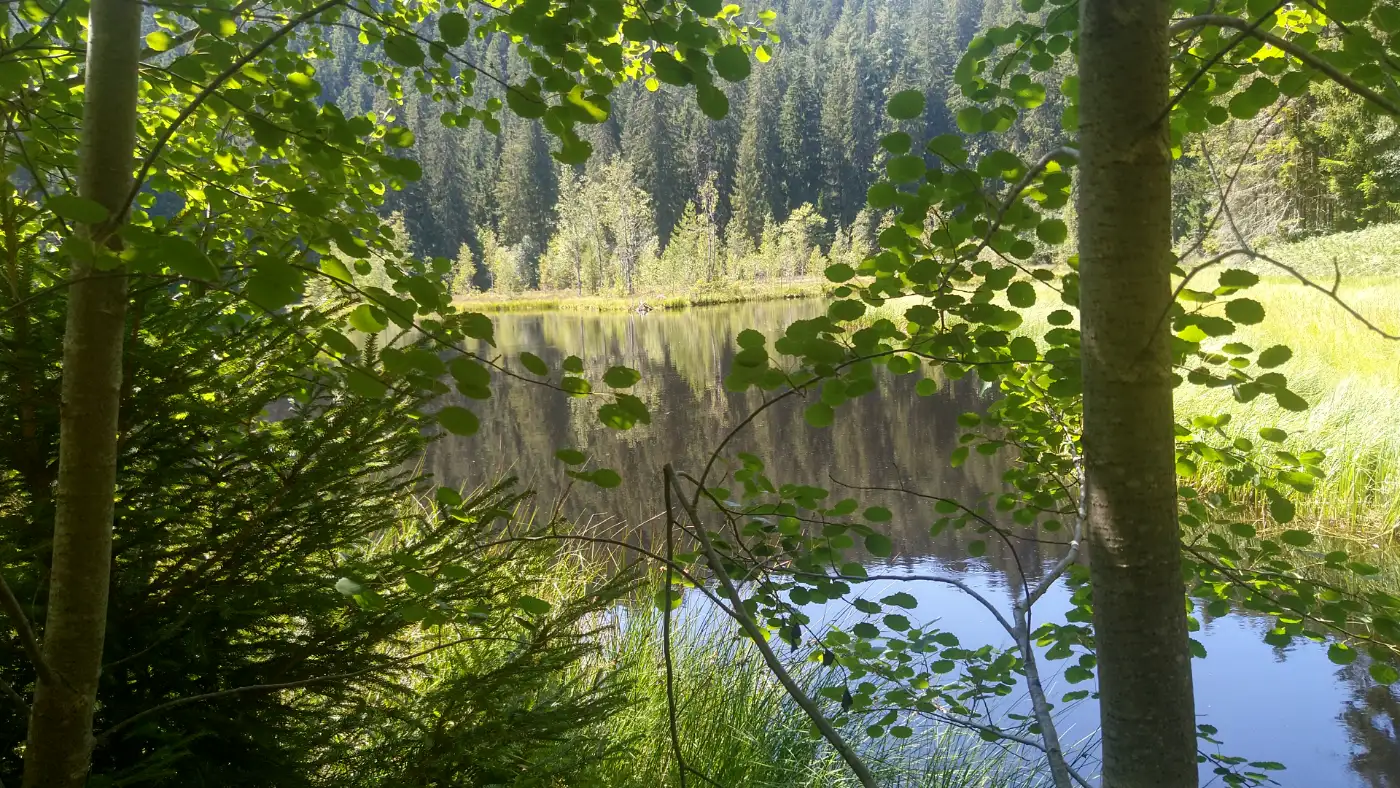Bildtitel: Buhlbachsee - Karsee 799 m ü. NHN