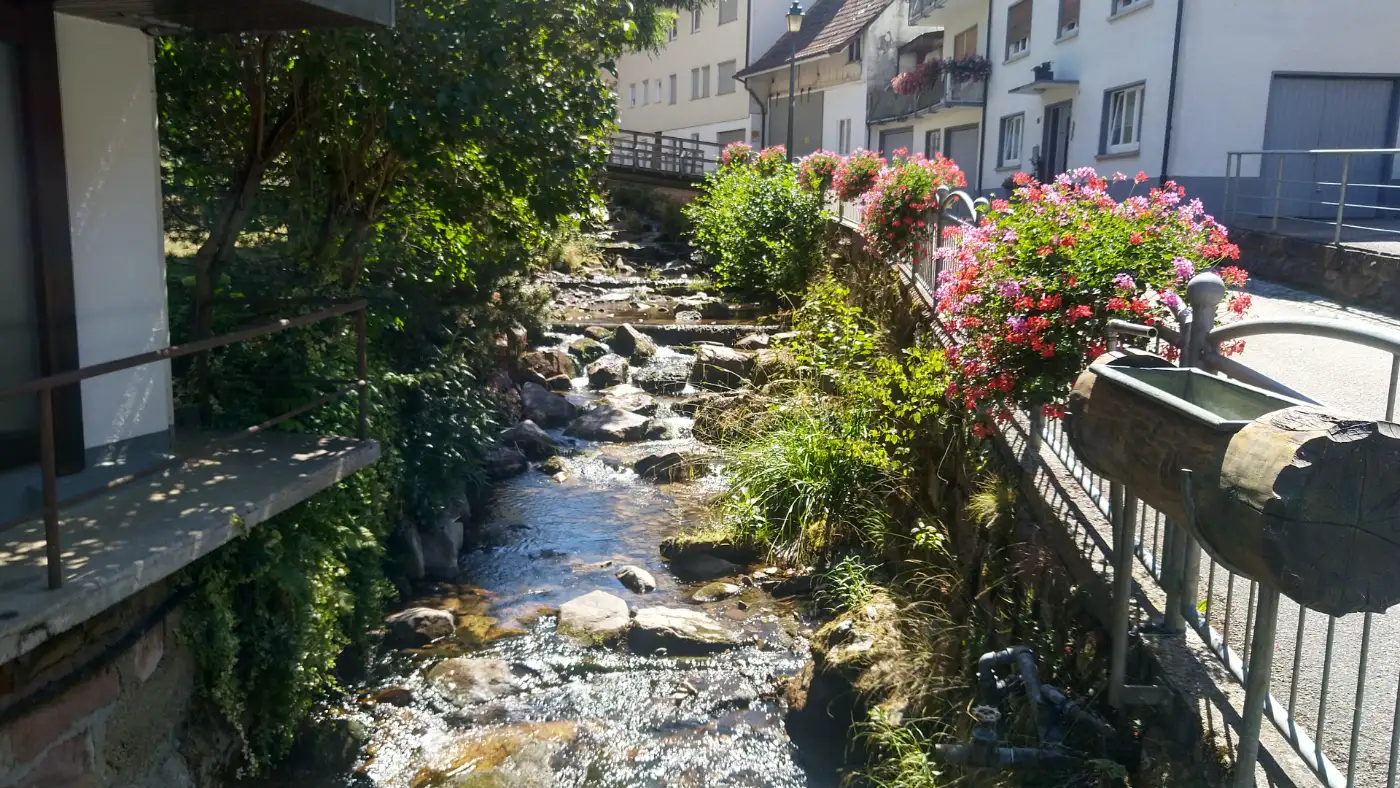 Bildtitel: der Freiersbach unmittelbar vor der Mündung in die Rench