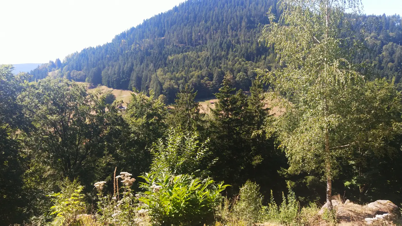 Bildtitel: Aussicht vom Himmelsfelsen