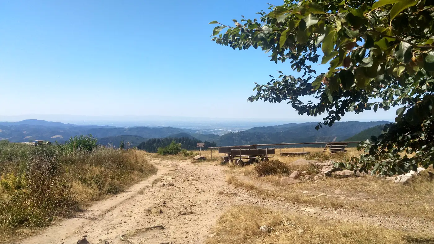 Bildtitel: Gleitschirmstartplatz Roßbühl an der Oppenauer Steige (L92)