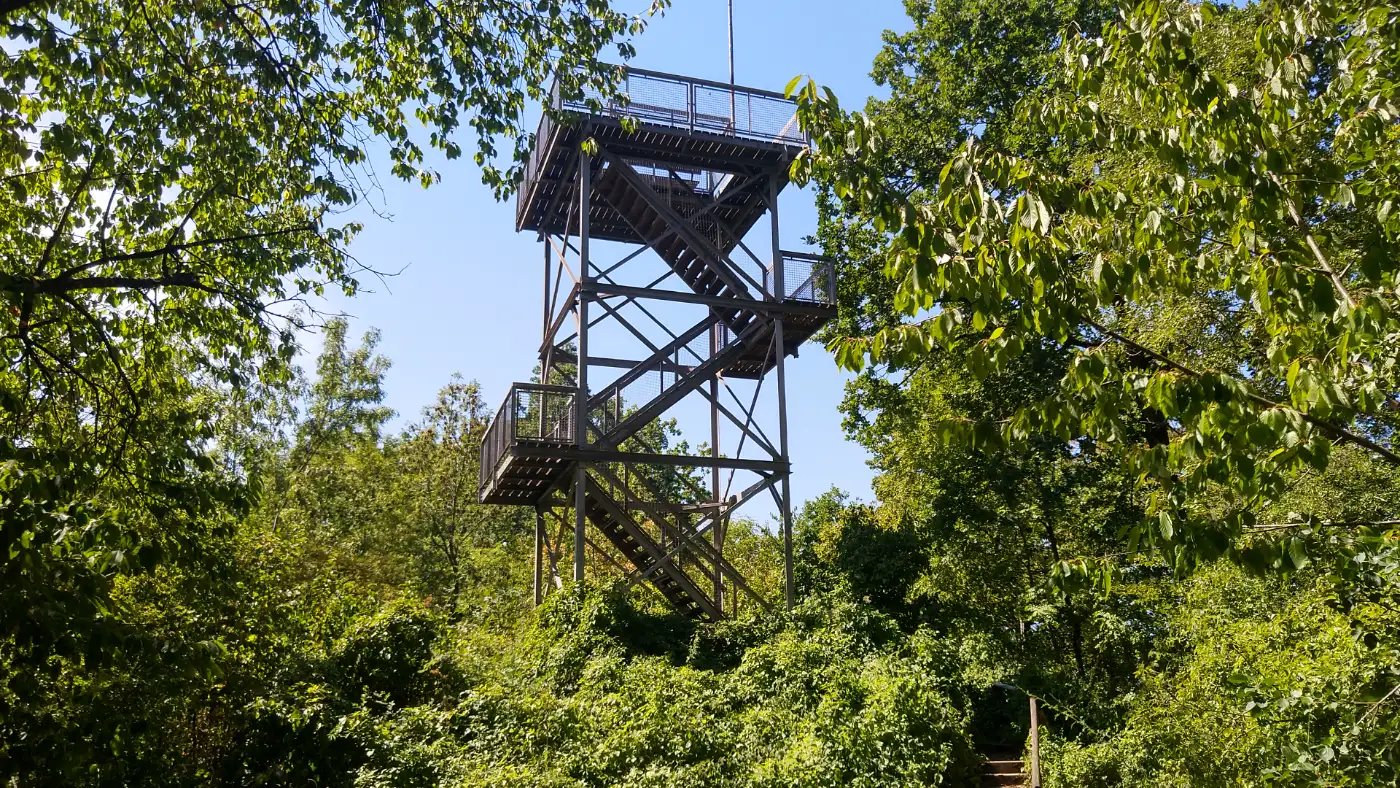 Bildtitel: Steinenbergturm 490 m ü. NHN
