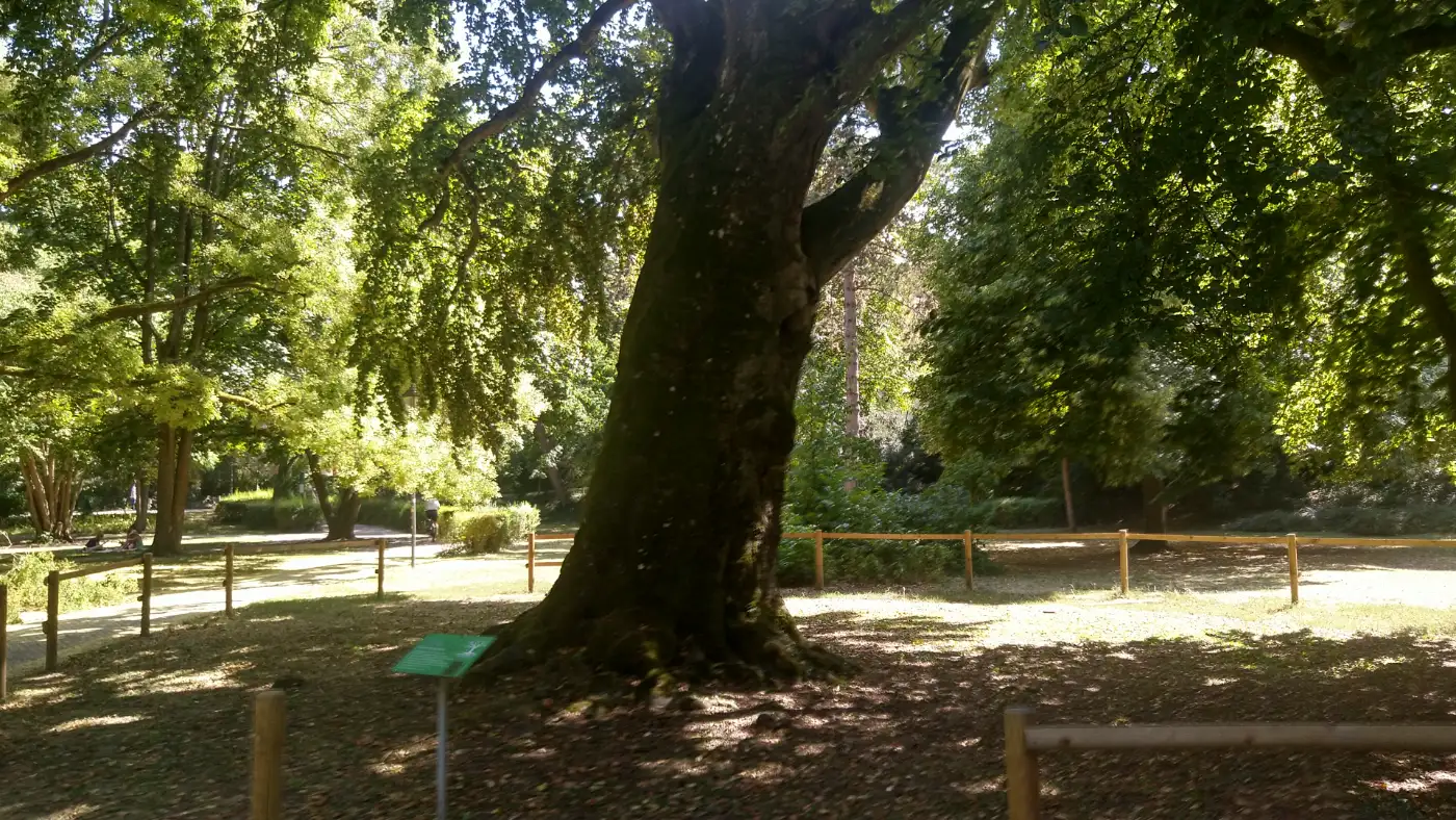 Bildtitel: Alter Botanischer Garten