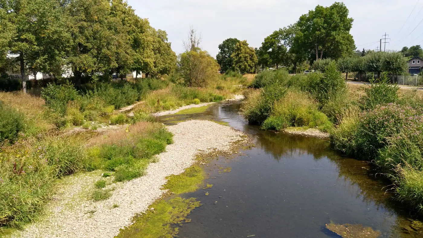 Bildtitel: die Breg