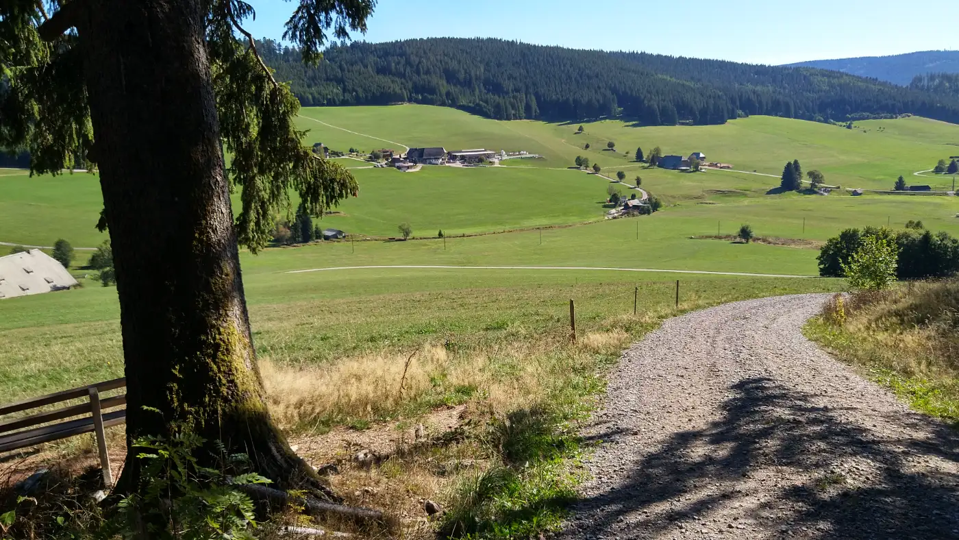 Bildtitel: ländliche Hügellandschaft im Langenordnachtal