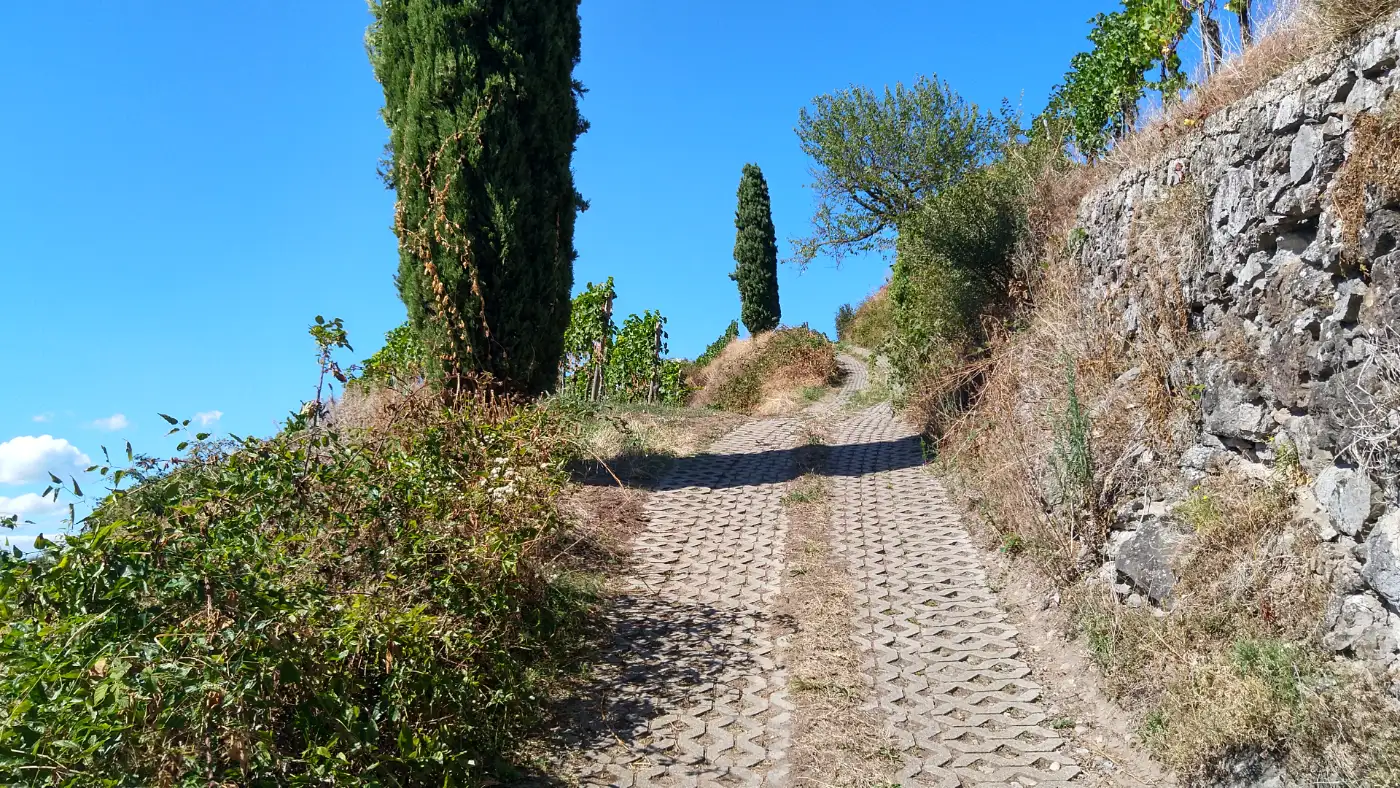 Bildtitel: Weg hinauf zum Schlossberg