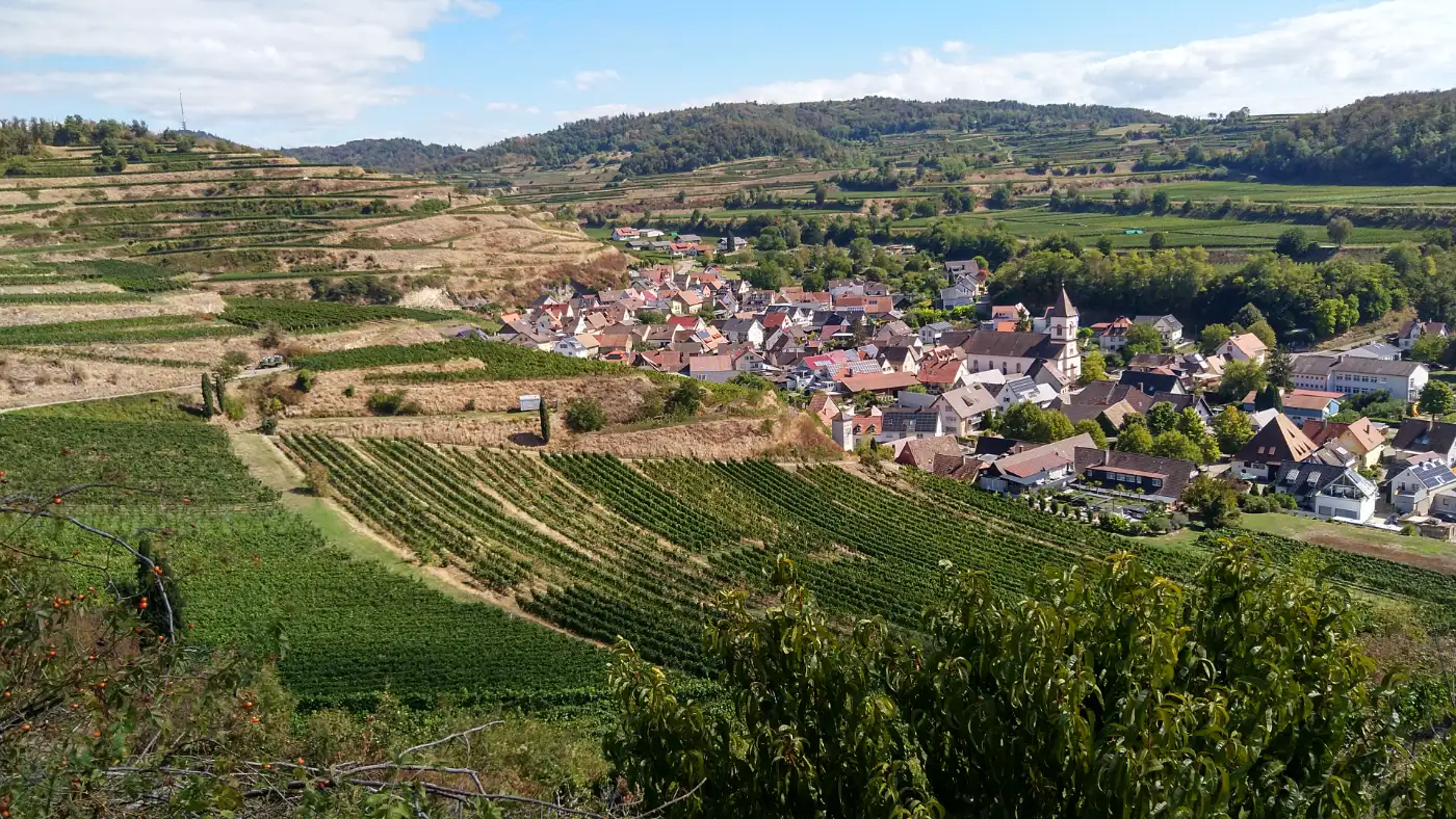 Bildtitel: das malerische Winzerdorf Achkarren