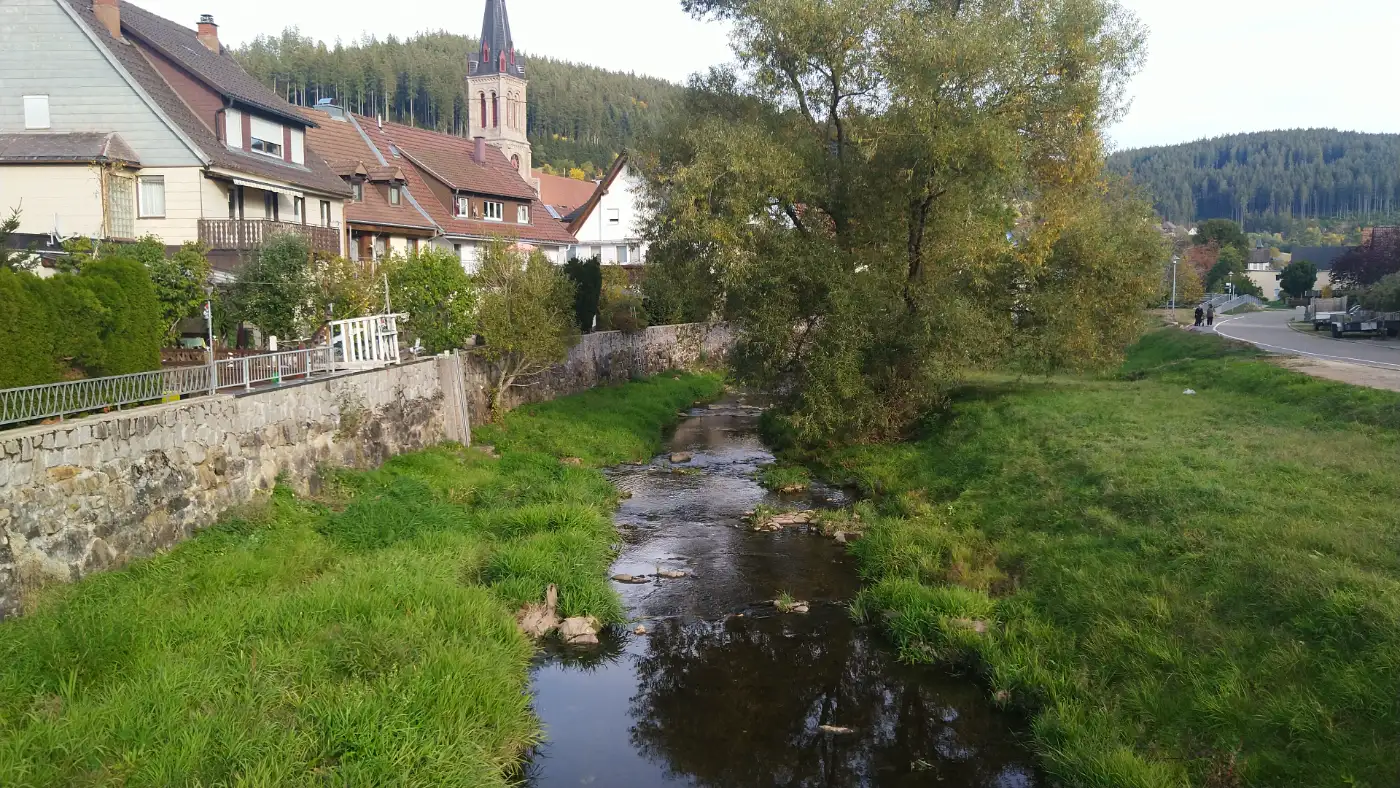 Bildtitel: Fluss Breg in Vöhrenbach