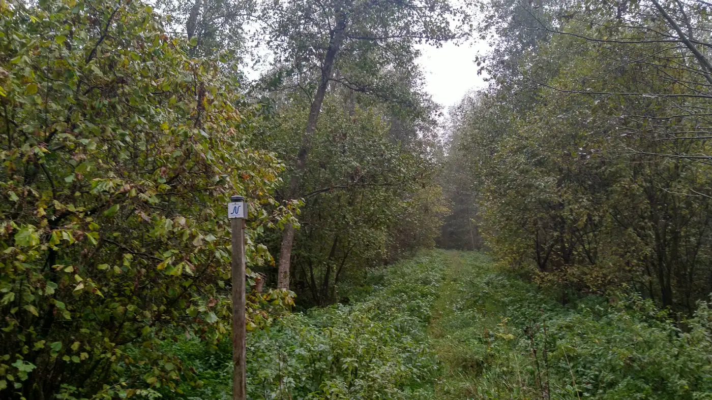 Bildtitel: auf dem Neckarweg (Fernwanderweg)
