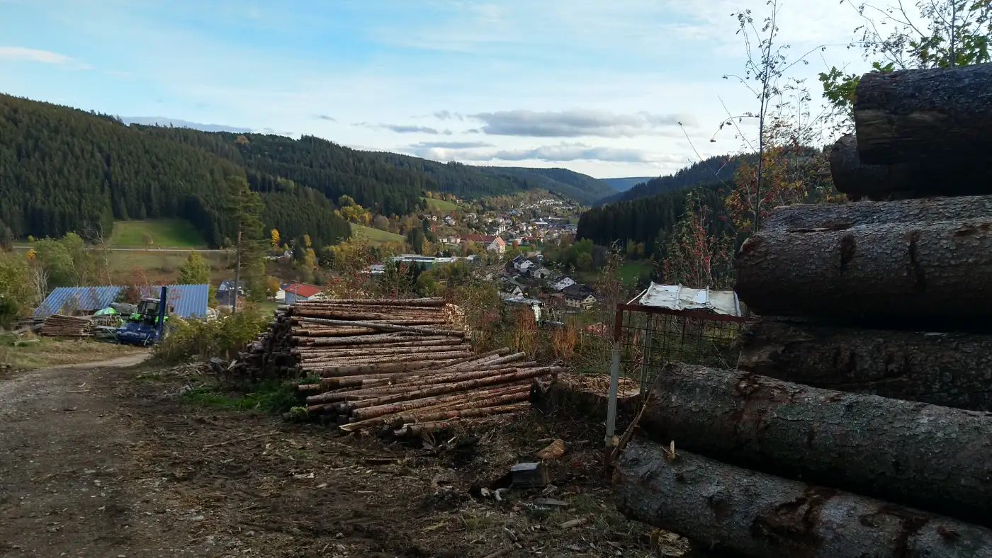 Bildtitel: Aussicht auf Vöhrenbach